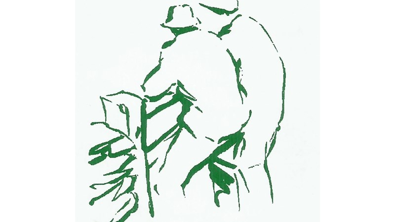 cover photo