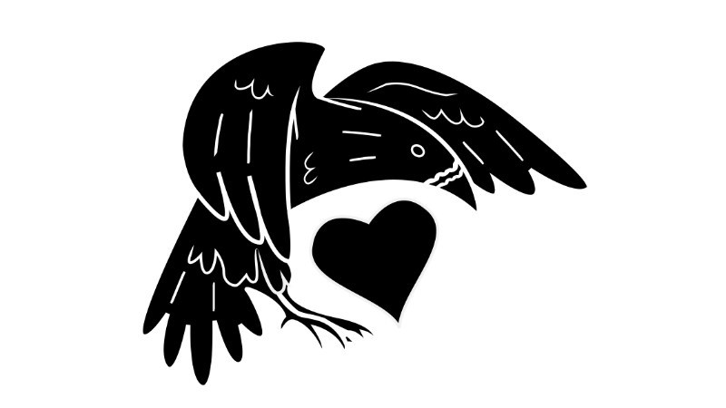 cover photo