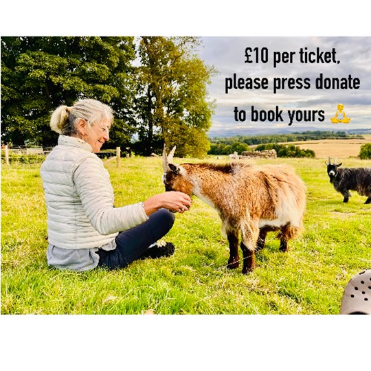 Outdoor Goat Yoga with Sophia LM