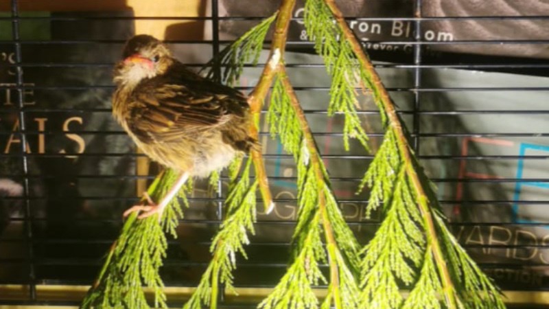 cover photo
