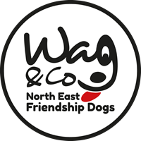 Wag & Company North East Friendship Dogs