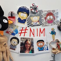 NIM Team @ Sky