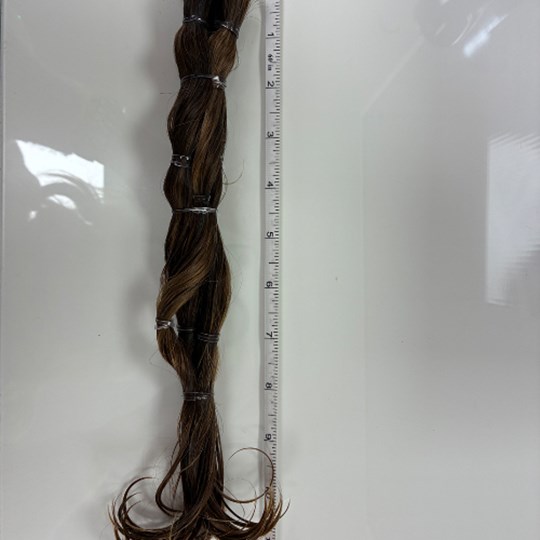 Lillian's fundraising page