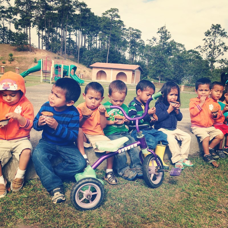 cover photo