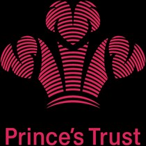 Prince's Trust Team 391