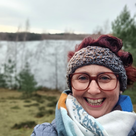 Lisa's fundraising page