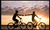 Fundraiser icon