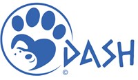 DASH Dogs - Dream of a safe haven