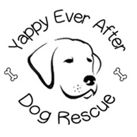 Yappy Ever After Dog Rescue