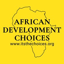 African Development Choices