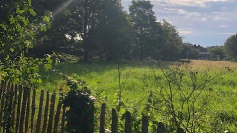 cover photo