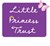 Fundraiser icon