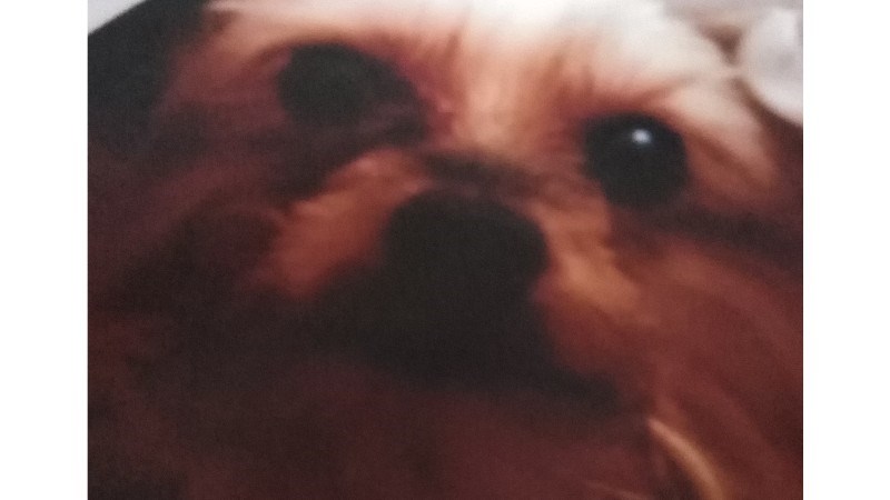 cover photo