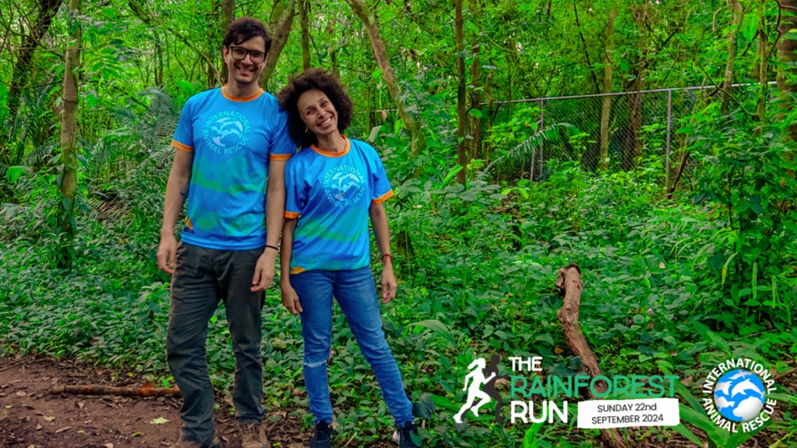 The Rainforest Run 2024 - JustGiving