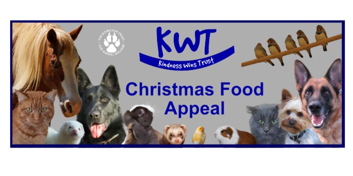 Kit Wilson Trust for Animal Welfare is fundraising for The Kit Wilson