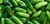 Fundraiser icon
