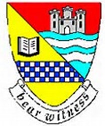 Team logo