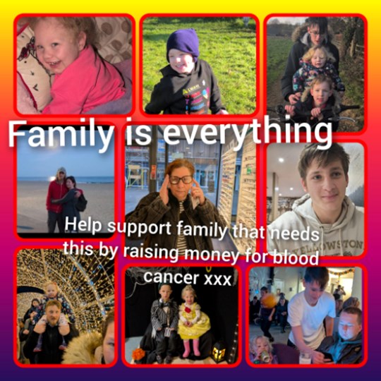 Tara's Walk of Light Fundraising Page