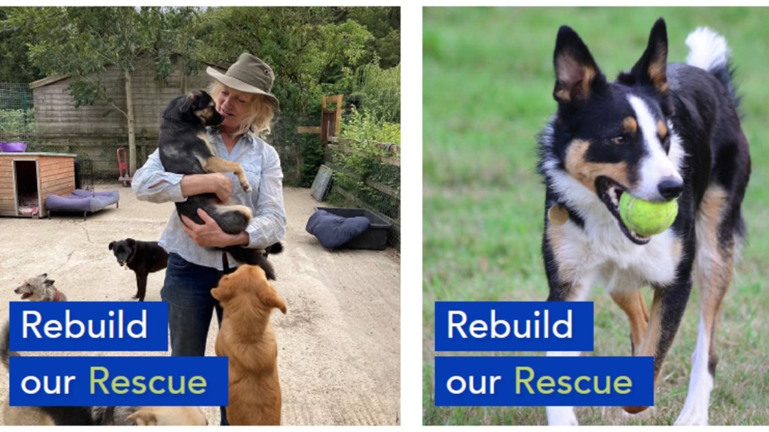 Rebuild Rescue 