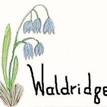 Waldridge Parish Council