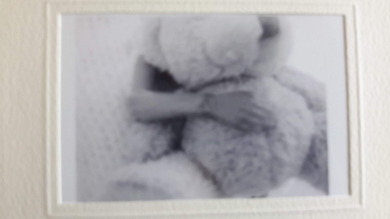 cover photo