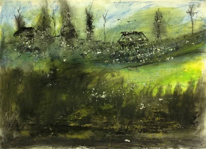 cover photo