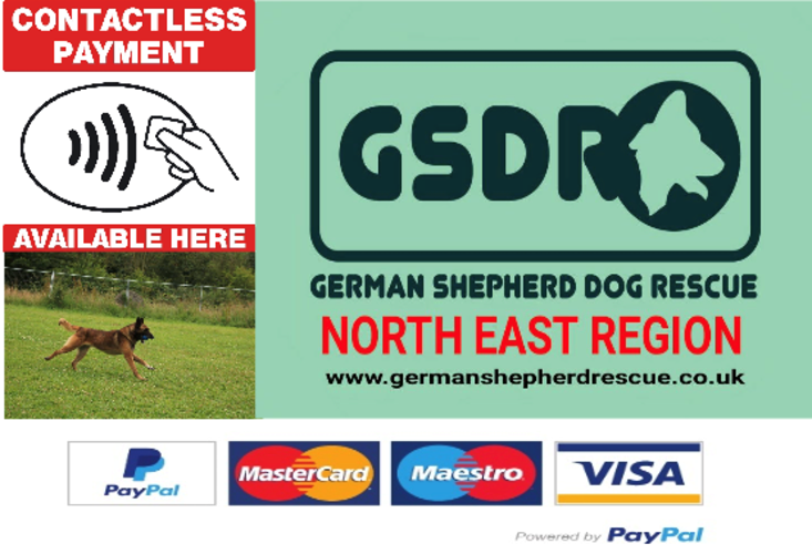 Dog rescue best sale north east uk