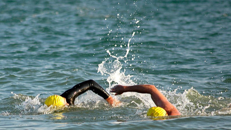 Lee's Big Swim
