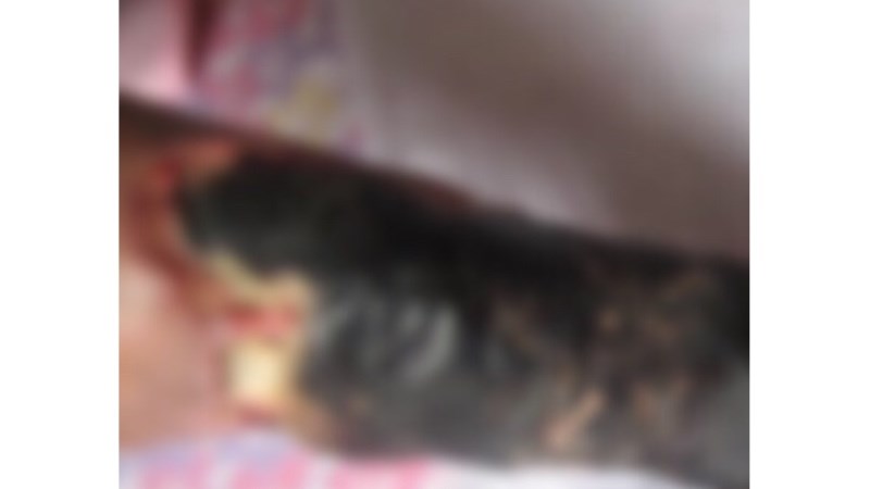 cover photo
