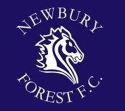 Team logo