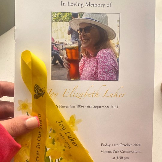 Louisa and Jack's Walk of Light Fundraising Page