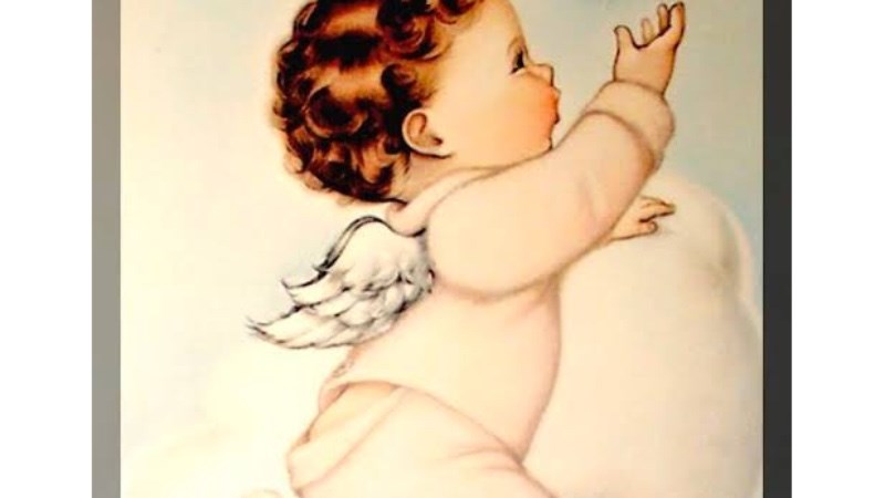 cover photo
