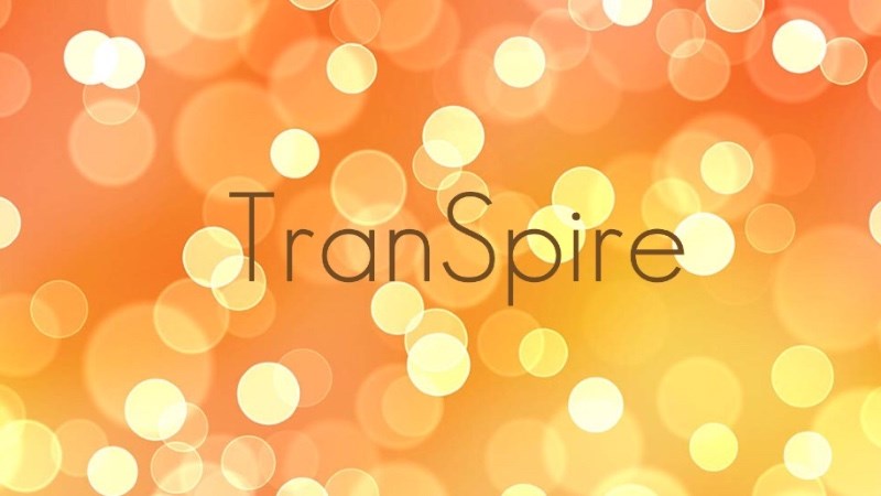 cover photo