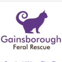 Feral rescue Gainsborough