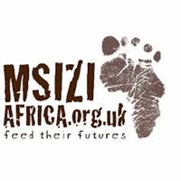 Msizi Africa