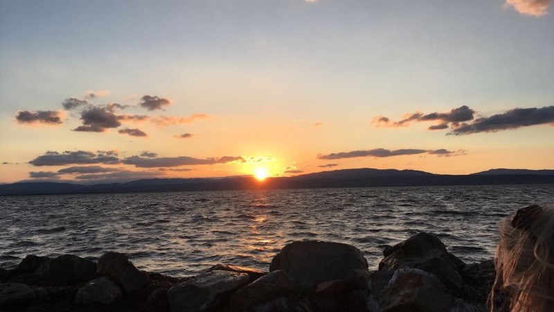 cover photo