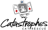 Catastrophes Cat Rescue