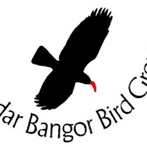 Bangor Bird Group