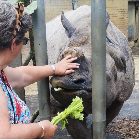 Jan's fundraising page