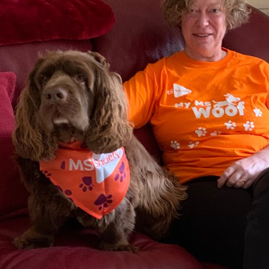 Julie and Morphy's fundraising page