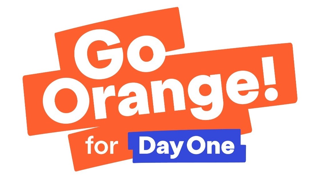 Go Orange Day 2024 JustGiving