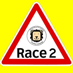 Team logo
