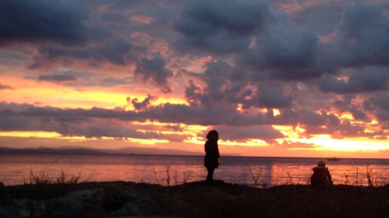 cover photo