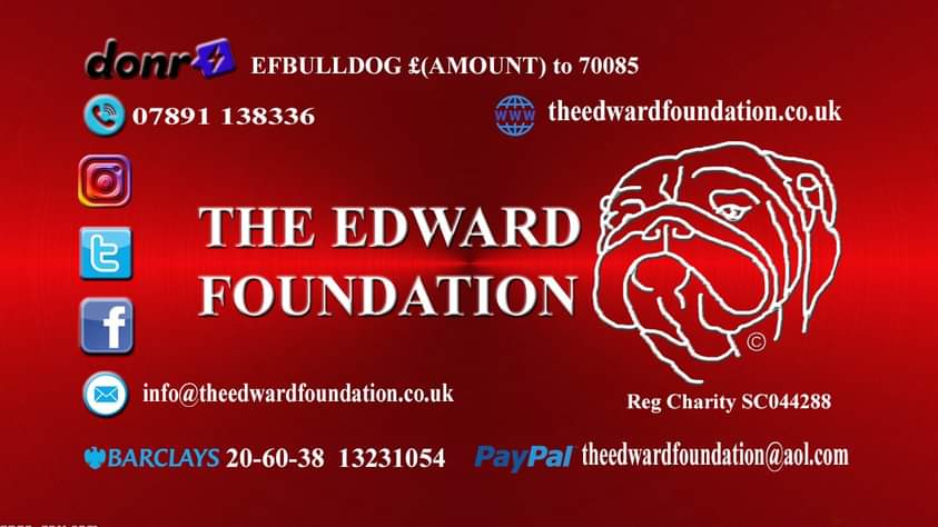 The Edward Foundation