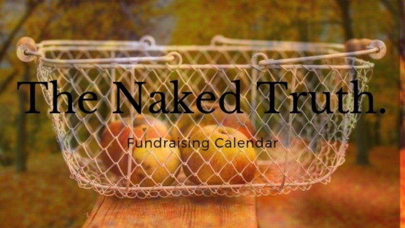 cover photo