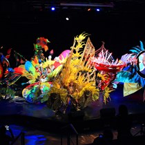 EMCCAN - East Midlands Caribbean Carnival Arts Network