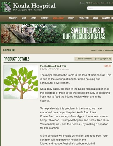 Crowdfunding To Buy Over 1 000 Koala Food Trees For The Koala