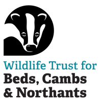 The Wildlife Trust BCN