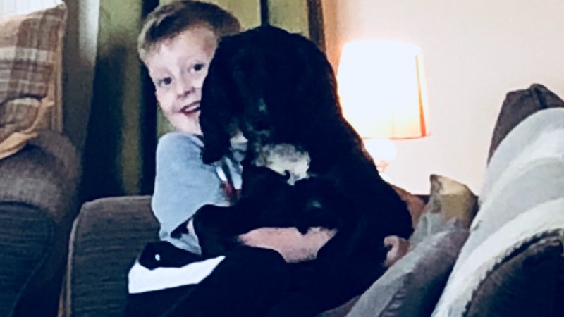 cover photo