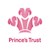 Fundraiser icon